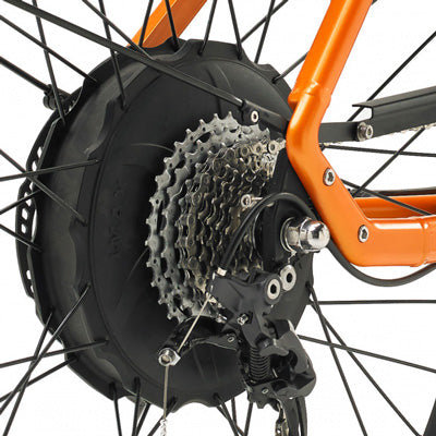 Rear Wheel Electric Bikes