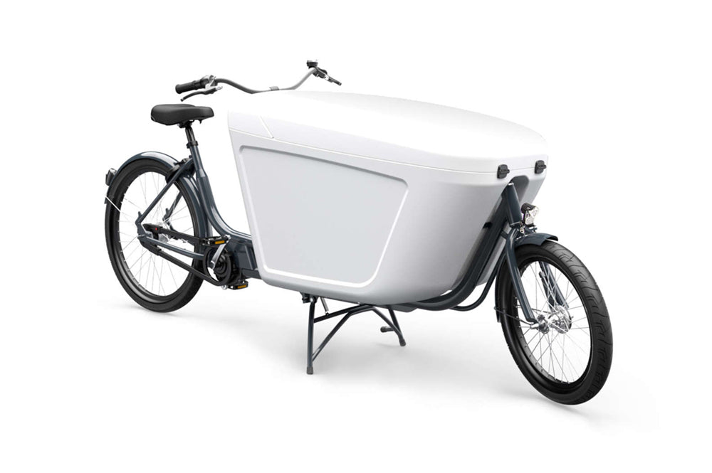 Raleigh-Pro Bike-Cargo eBike-urban.ebikes